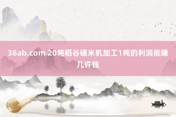 38ab.com 20吨稻谷碾米机加工1吨的利润能赚几许钱