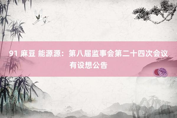 91 麻豆 能源源：第八届监事会第二十四次会议有设想公告