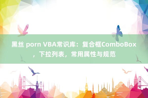 黑丝 porn VBA常识库：复合框ComboBox，下拉列表，常用属性与规范