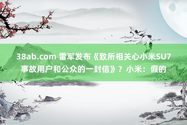 38ab.com 雷军发布《致所相关心小米SU7事故用户和公众的一封信》？小米：假的