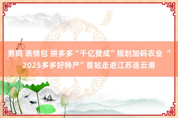 男同 表情包 拼多多“千亿赞成”规划加码农业 “2025多多好特产”首站走进江苏连云港