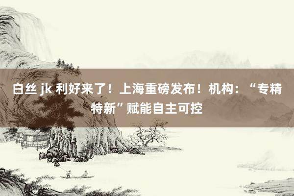 白丝 jk 利好来了！上海重磅发布！机构：“专精特新”赋能自主可控