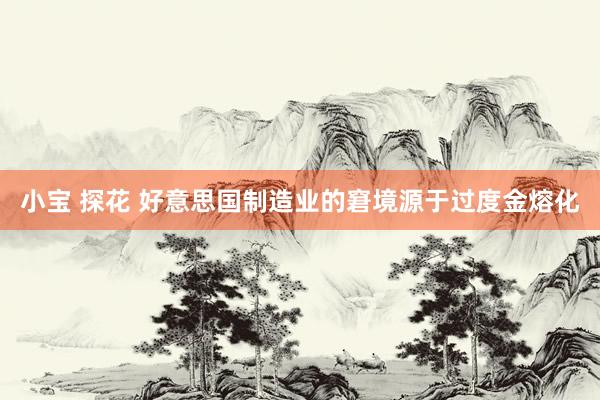 小宝 探花 好意思国制造业的窘境源于过度金熔化