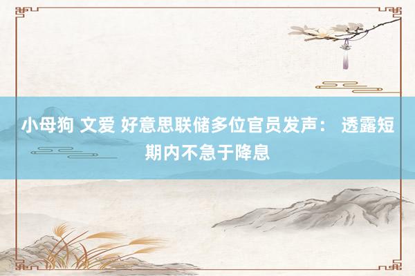 小母狗 文爱 好意思联储多位官员发声： 透露短期内不急于降息